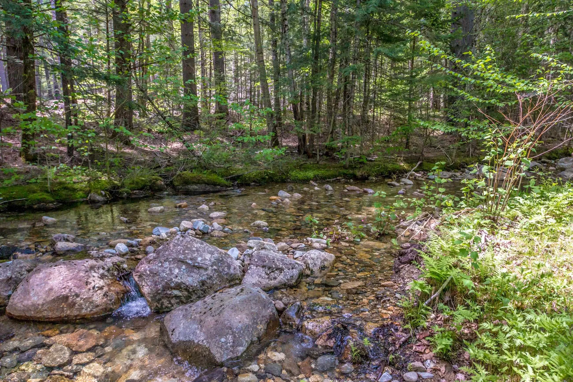 516 Dundee Road Jackson NH 03846