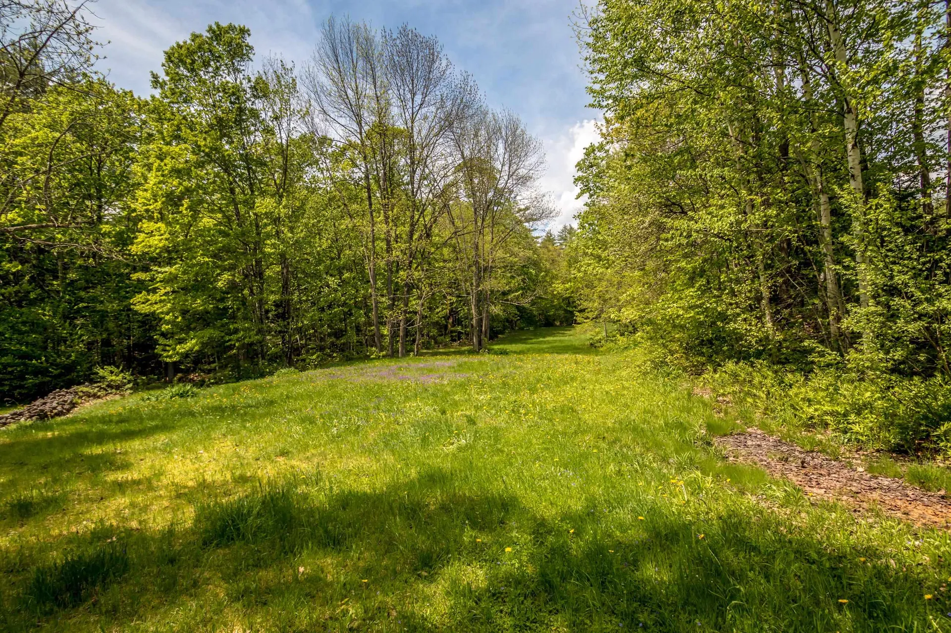 516 Dundee Road Jackson NH 03846