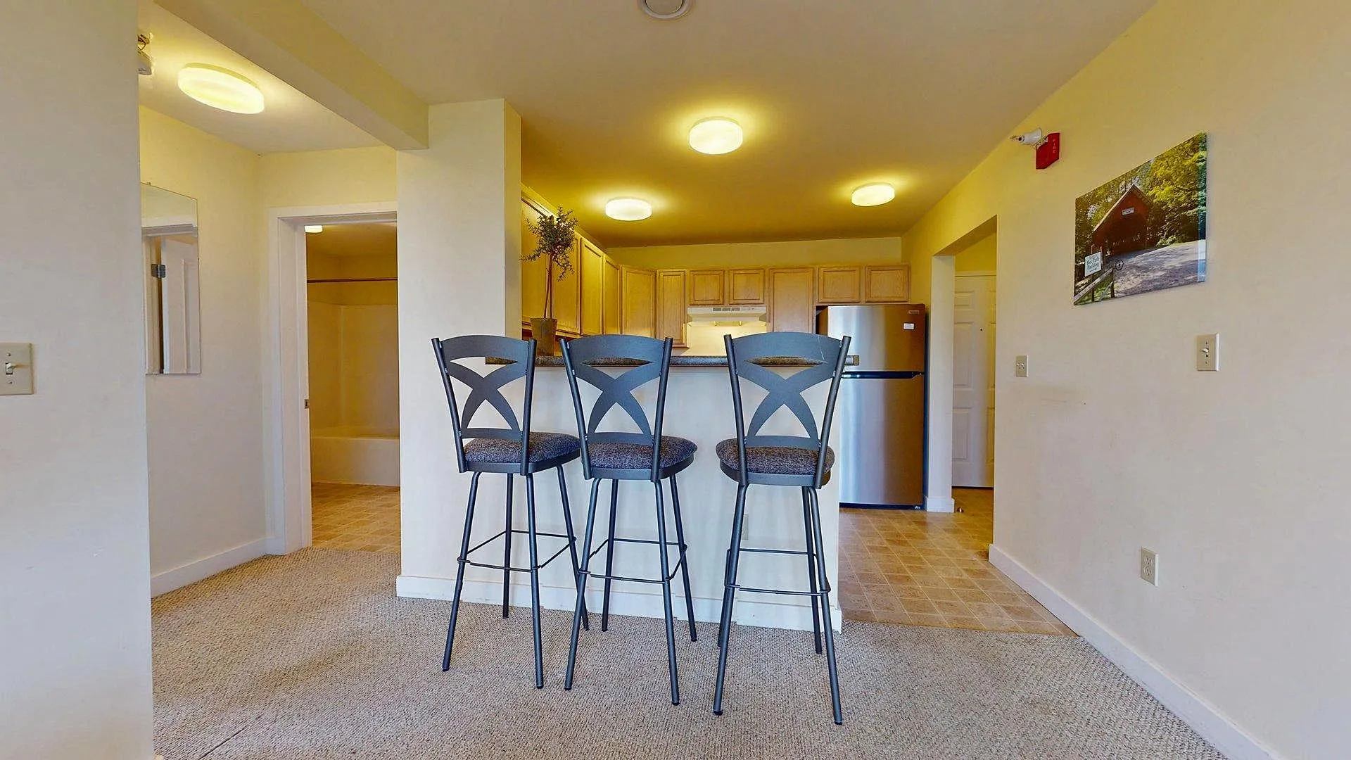 409 Farrell Street South Burlington VT 05403