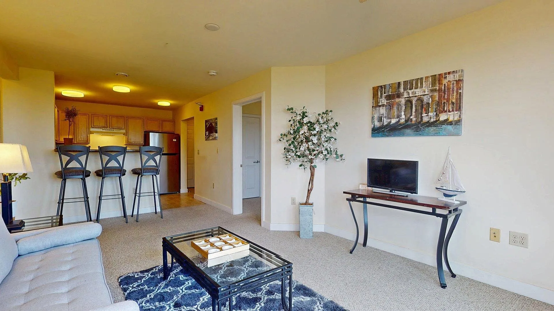 409 Farrell Street South Burlington VT 05403