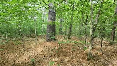 Tbd Middle Route Gilmanton NH 03237