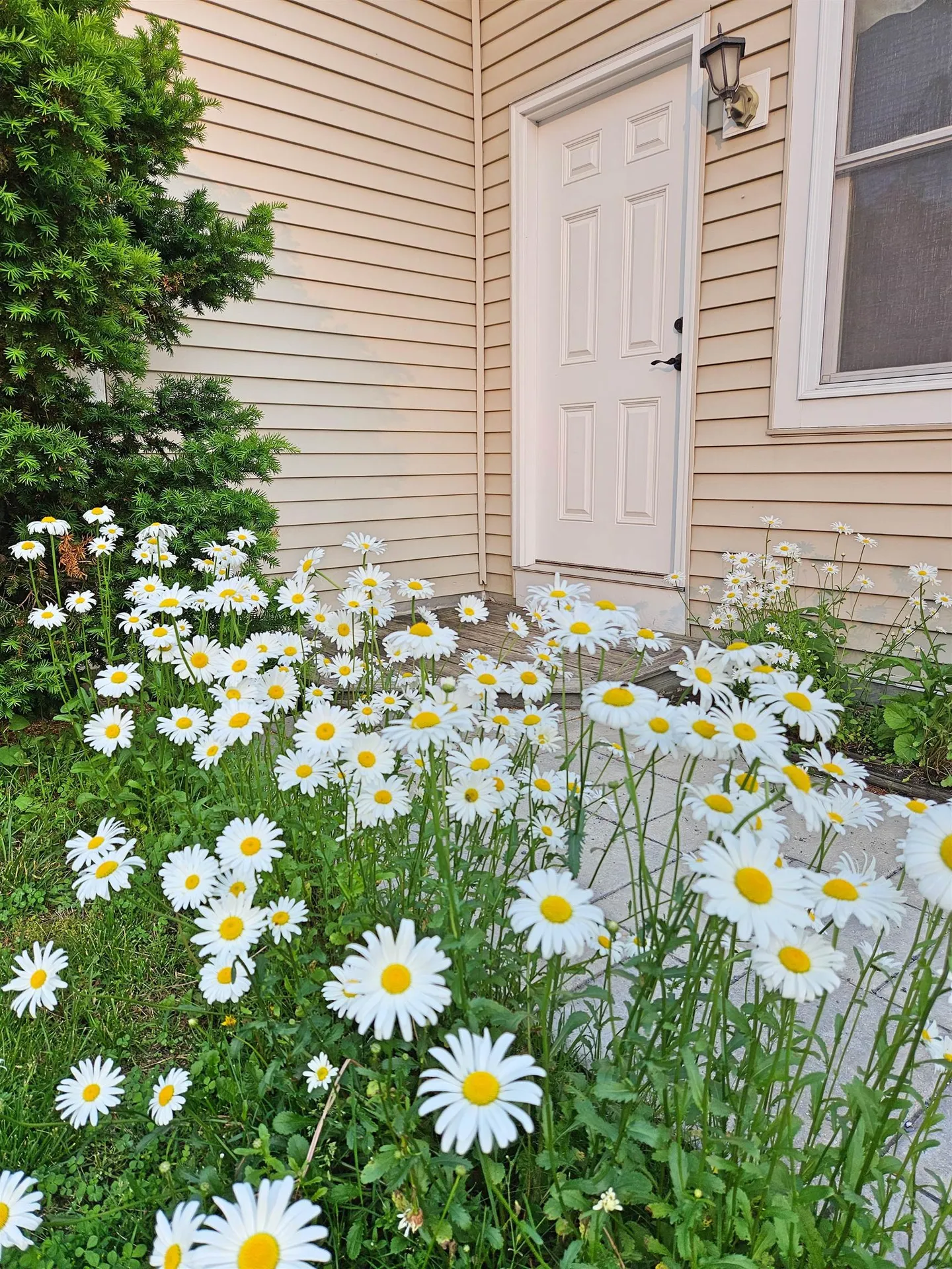 60 South Maple Street Vergennes VT 05491