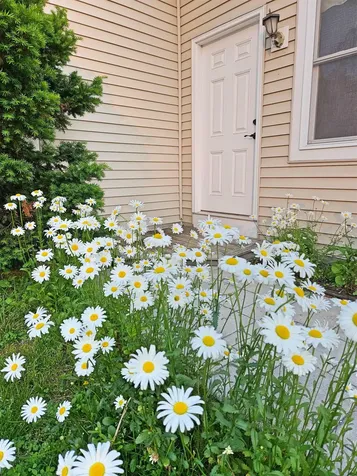 60 South Maple Street Vergennes VT 05491