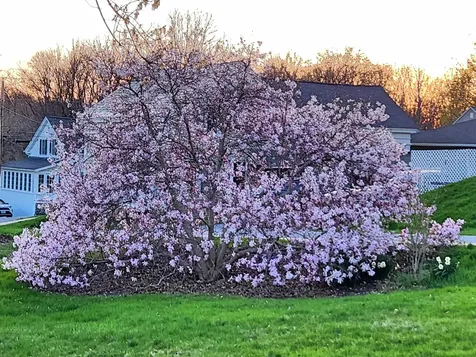 60 South Maple Street Vergennes VT 05491