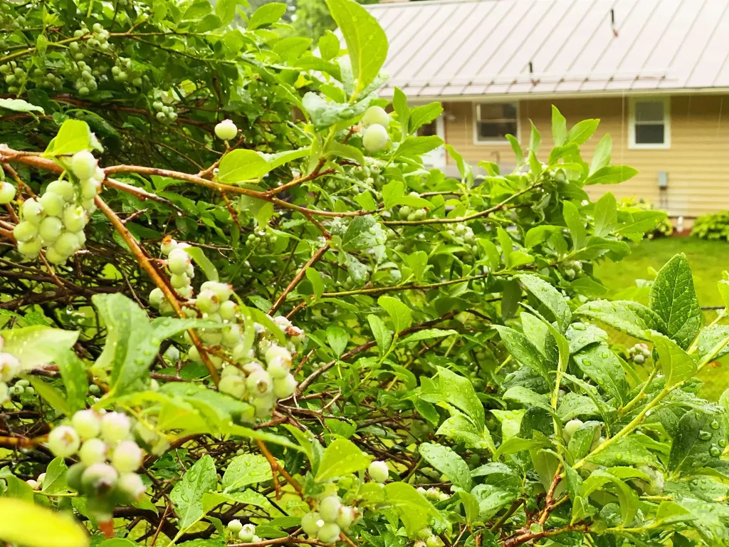 34 Deerfield Drive Montpelier VT 05602