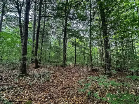 433 New Hampshire Route 25a Wentworth NH 03282