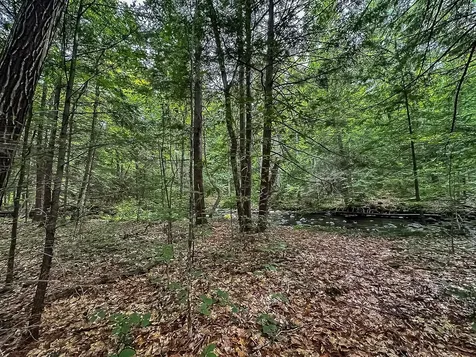 433 New Hampshire Route 25a Wentworth NH 03282