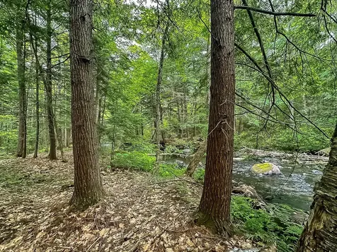 433 New Hampshire Route 25a Wentworth NH 03282