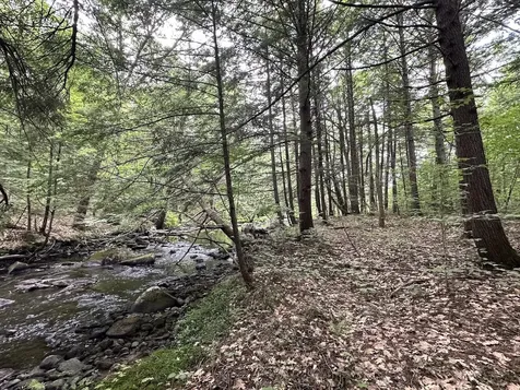 433 New Hampshire Route 25a Wentworth NH 03282