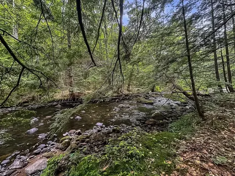 433 New Hampshire Route 25a Wentworth NH 03282