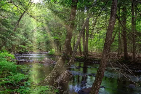 433 New Hampshire Route 25a Wentworth NH 03282