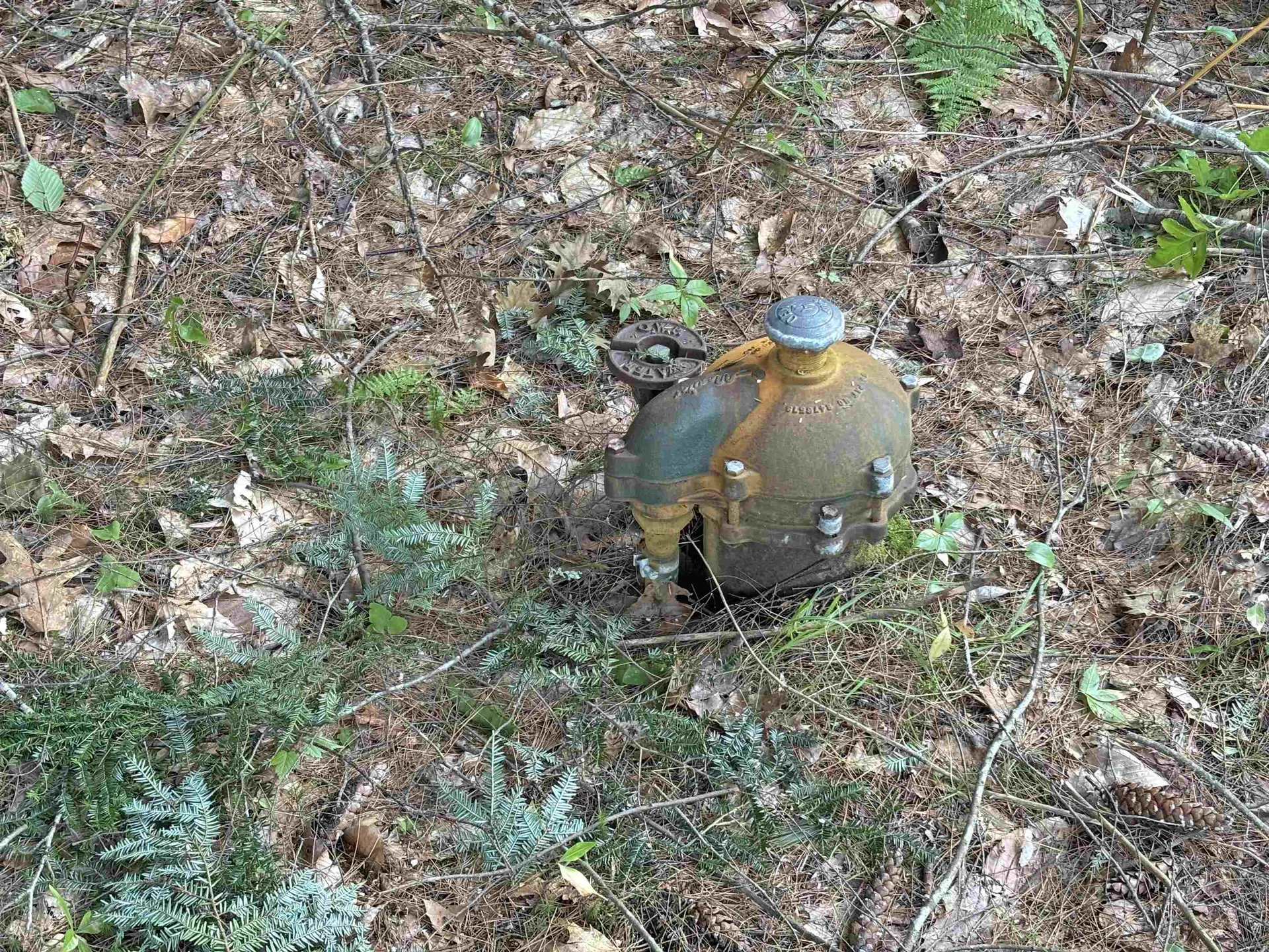 373 New Hampshire Route 175 Holderness NH 03245