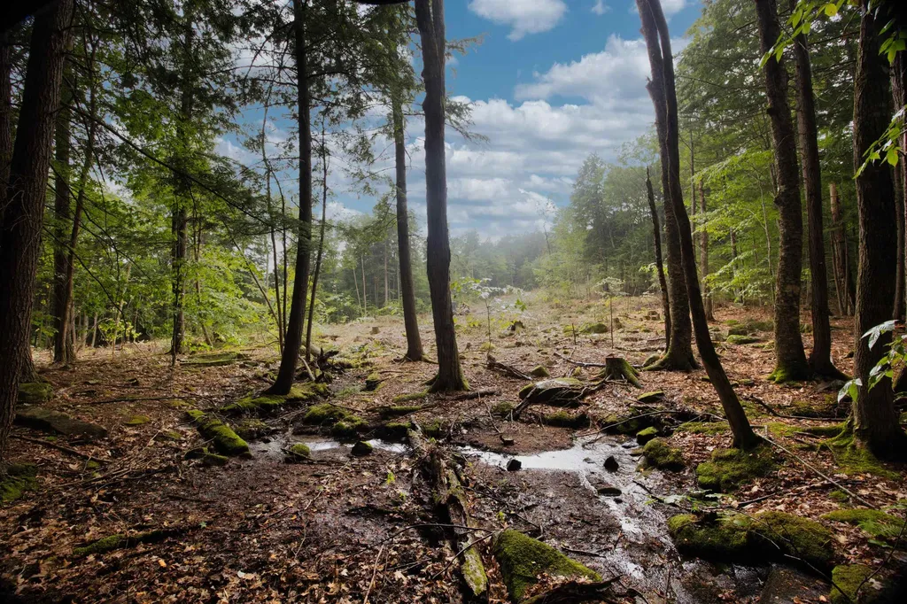 000 North Road Bridgton ME 04009