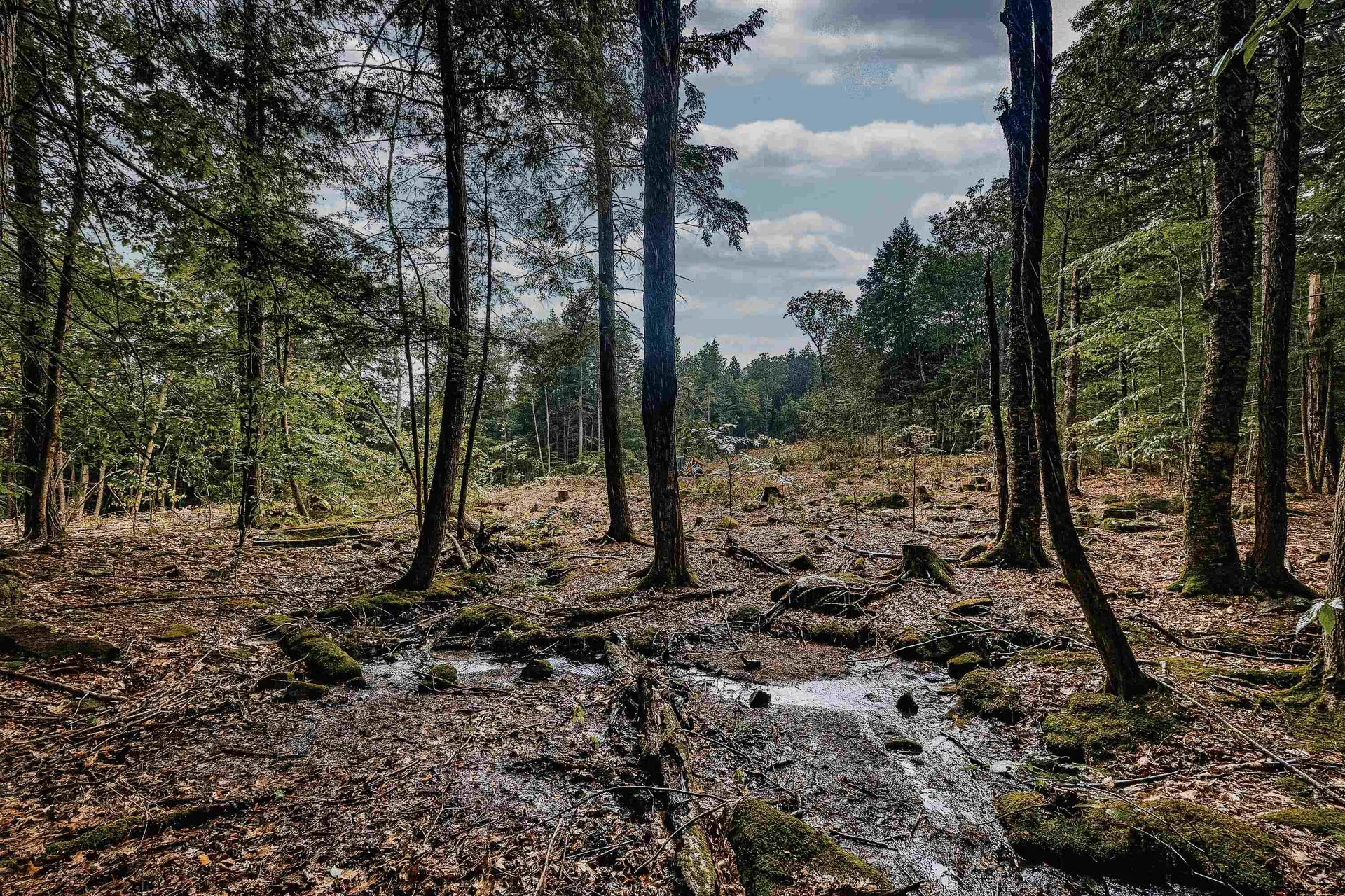 000 North Road Bridgton ME 04009