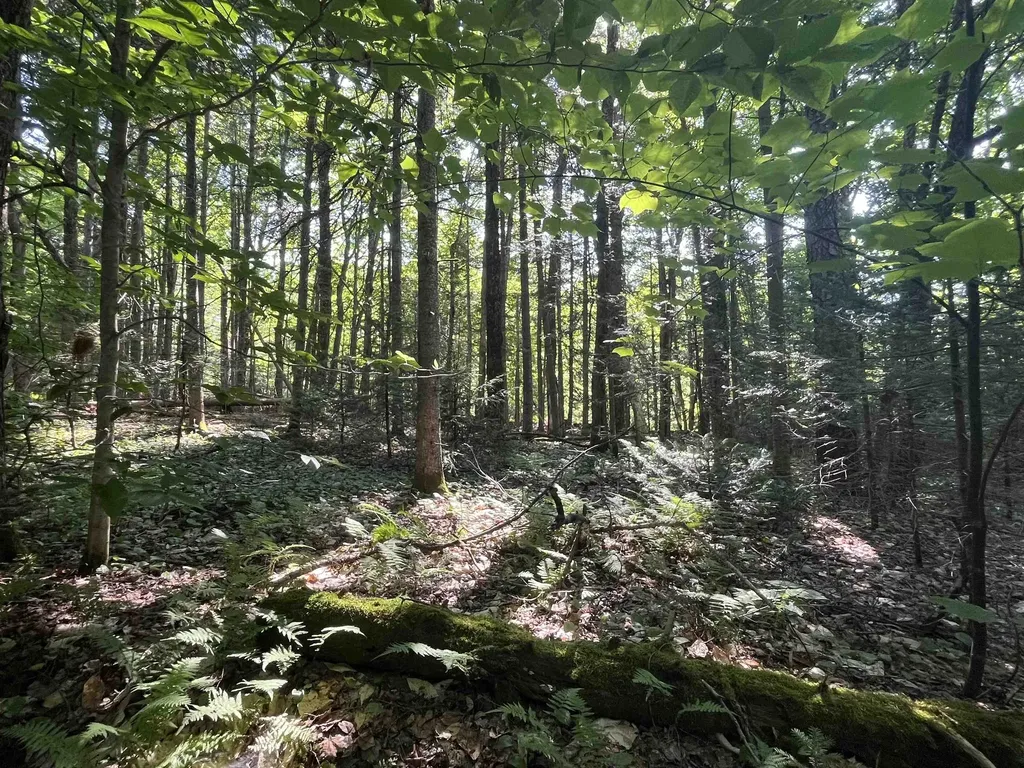 556 Diette Road Lowell VT 05847