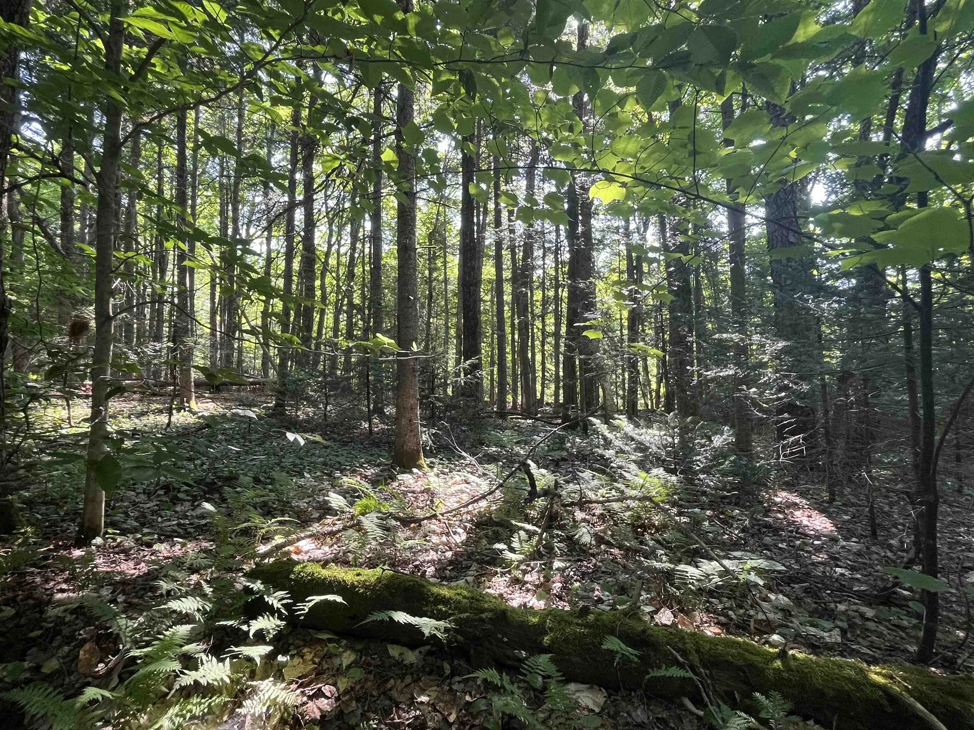 556 Diette Road Lowell VT 05847