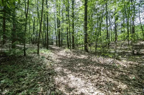 U5 Lot 2 Drew Lane Kingston NH 03848