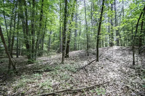 U5 Lot 2 Drew Lane Kingston NH 03848