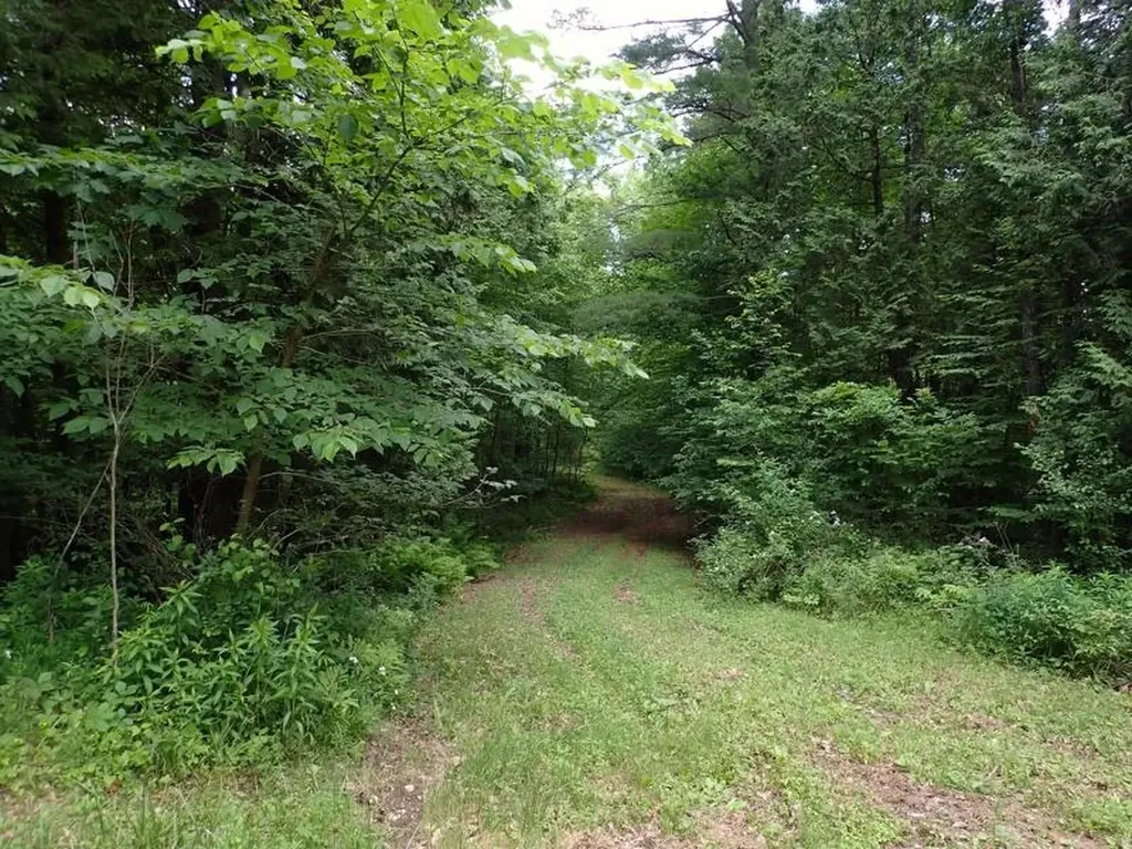 0 Marshall Phillips Road Brandon VT 05733