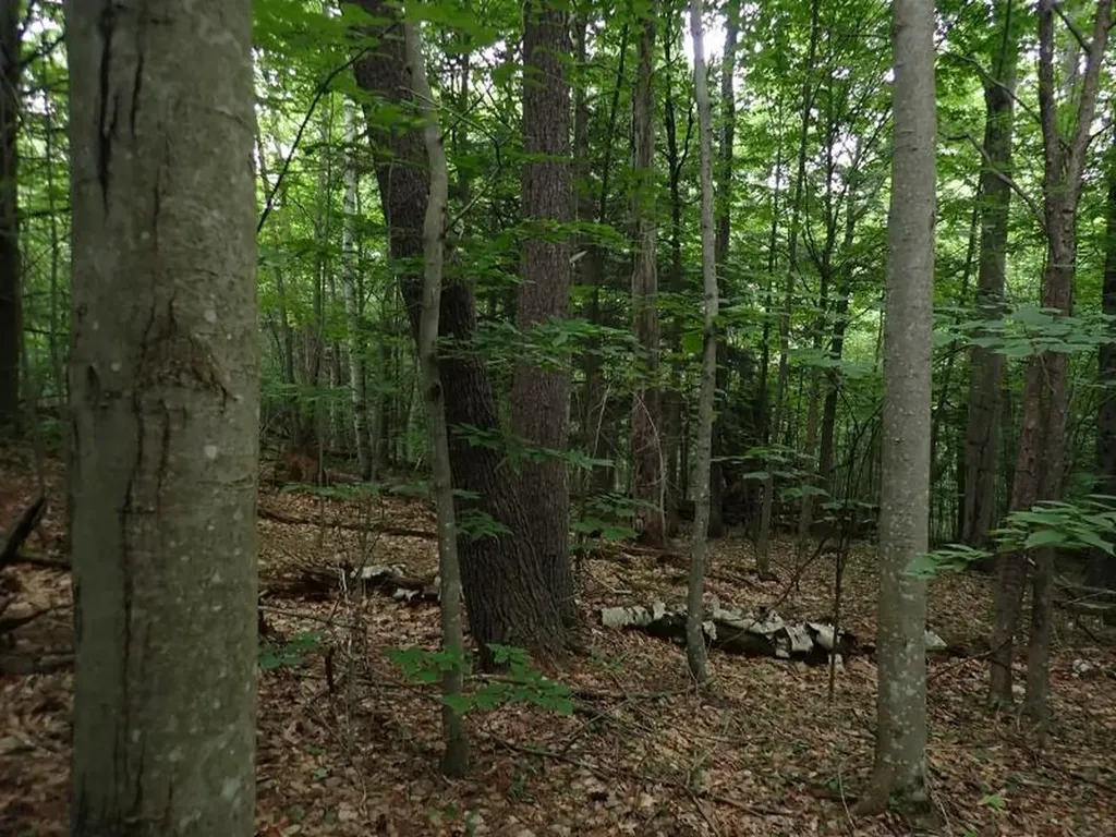 0 Marshall Phillips Road Brandon VT 05733