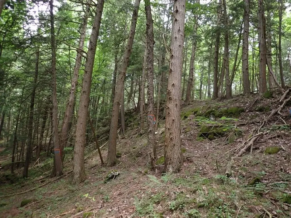 0 Marshall Phillips Road Brandon VT 05733