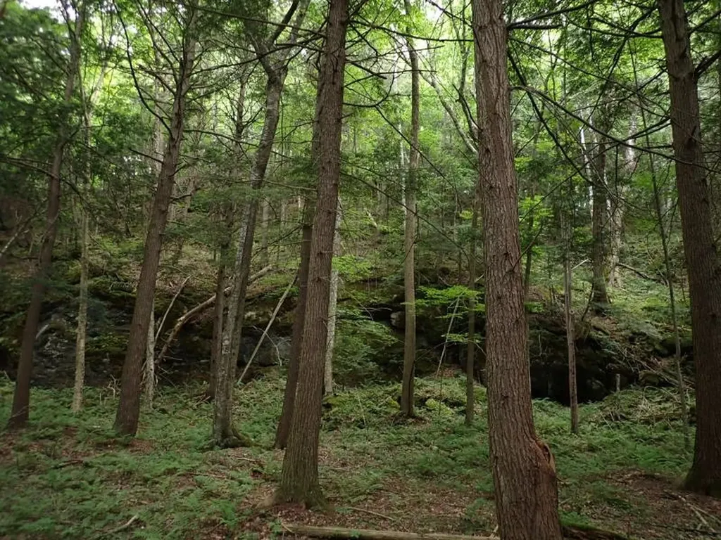 0 Marshall Phillips Road Brandon VT 05733