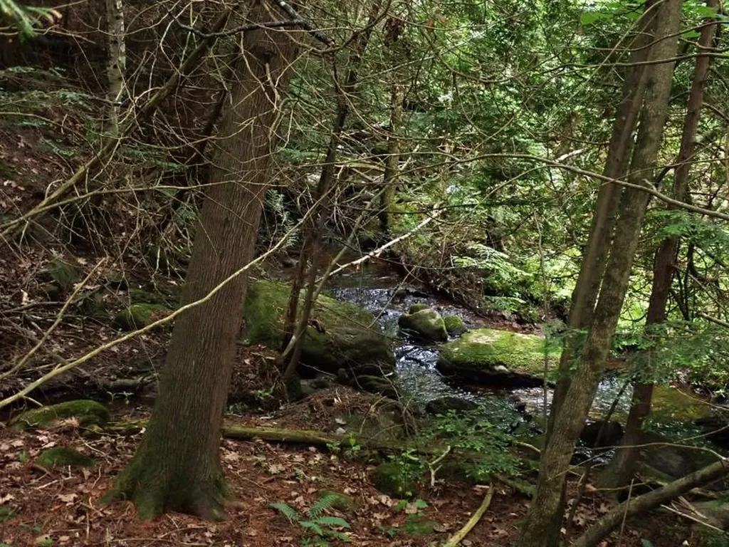 0 Marshall Phillips Road Brandon VT 05733