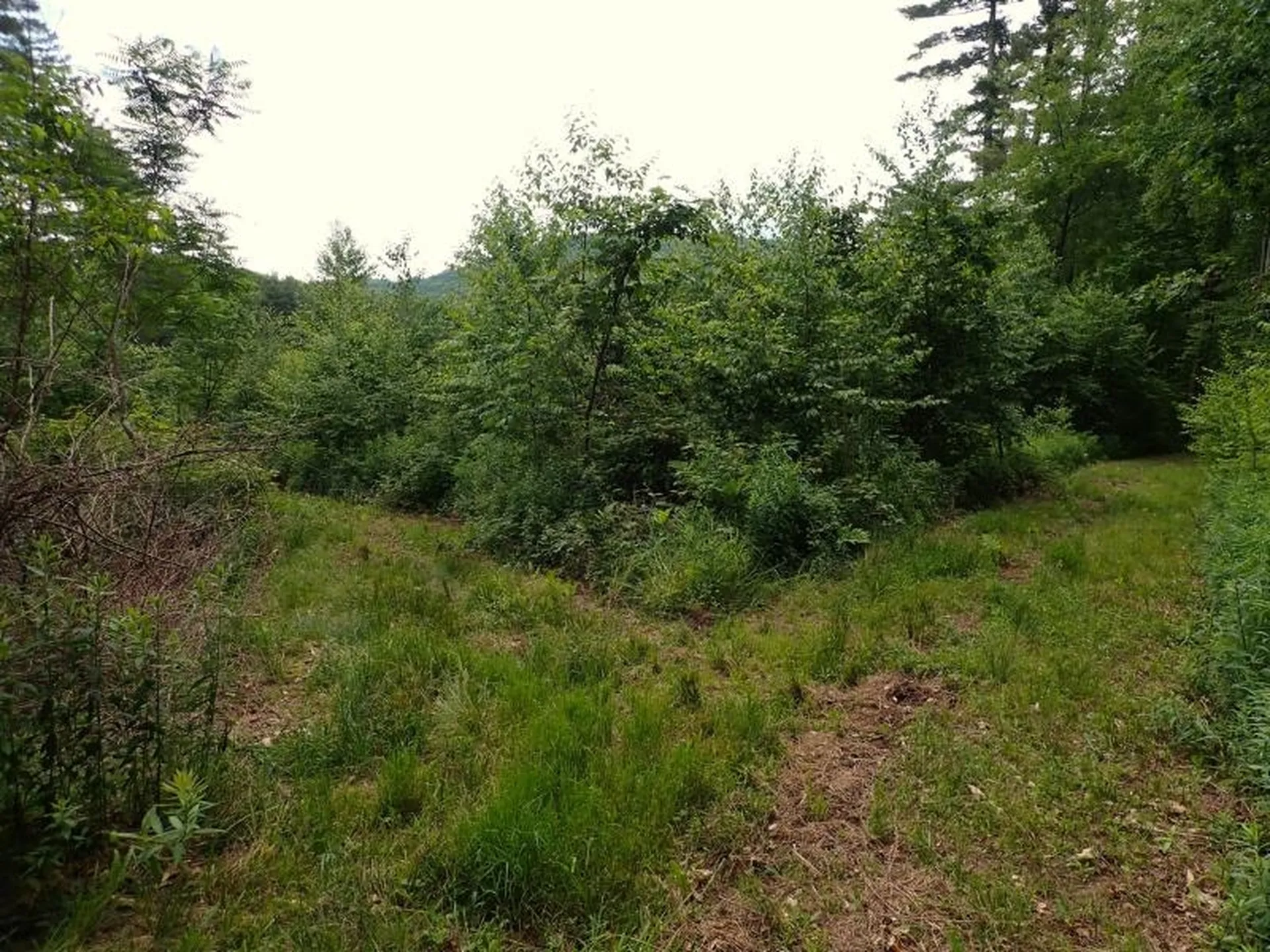 0 Marshall Phillips Road Brandon VT 05733