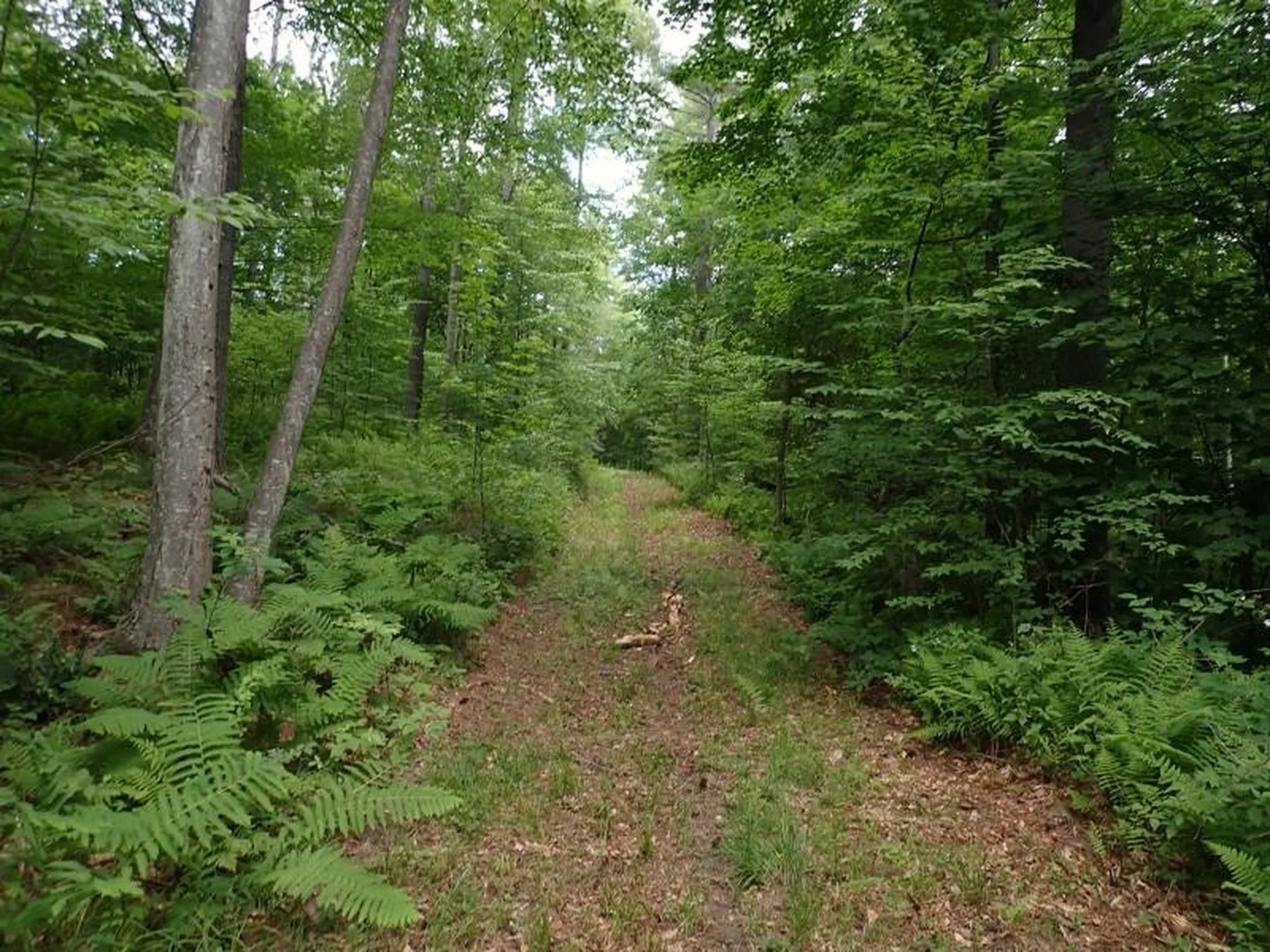 0 Marshall Phillips Road Brandon VT 05733