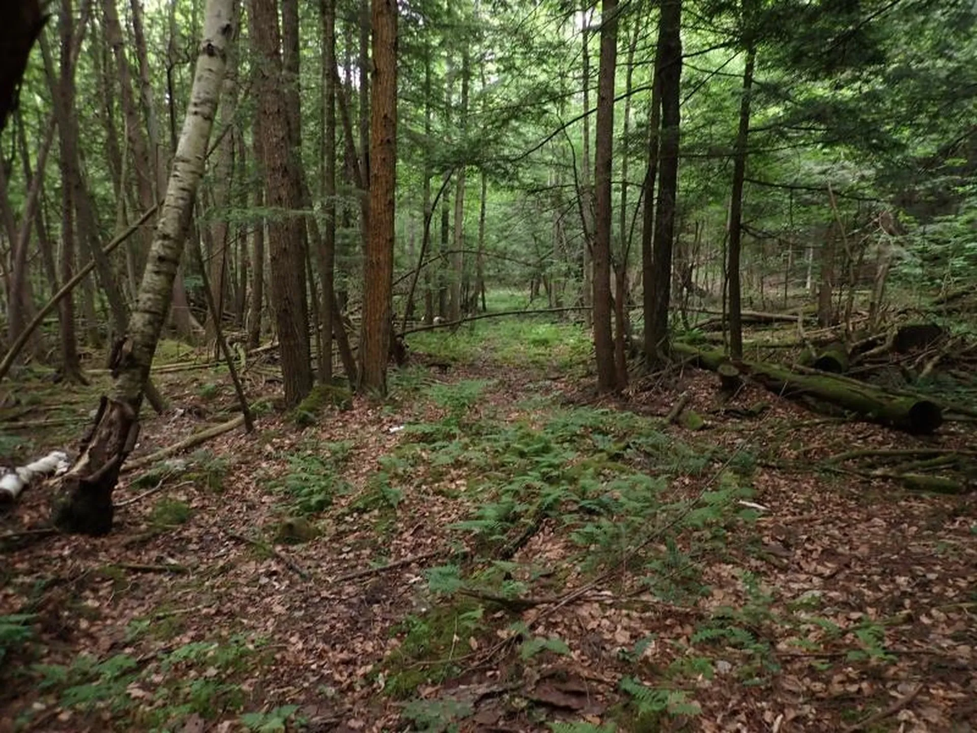 0 Marshall Phillips Road Brandon VT 05733