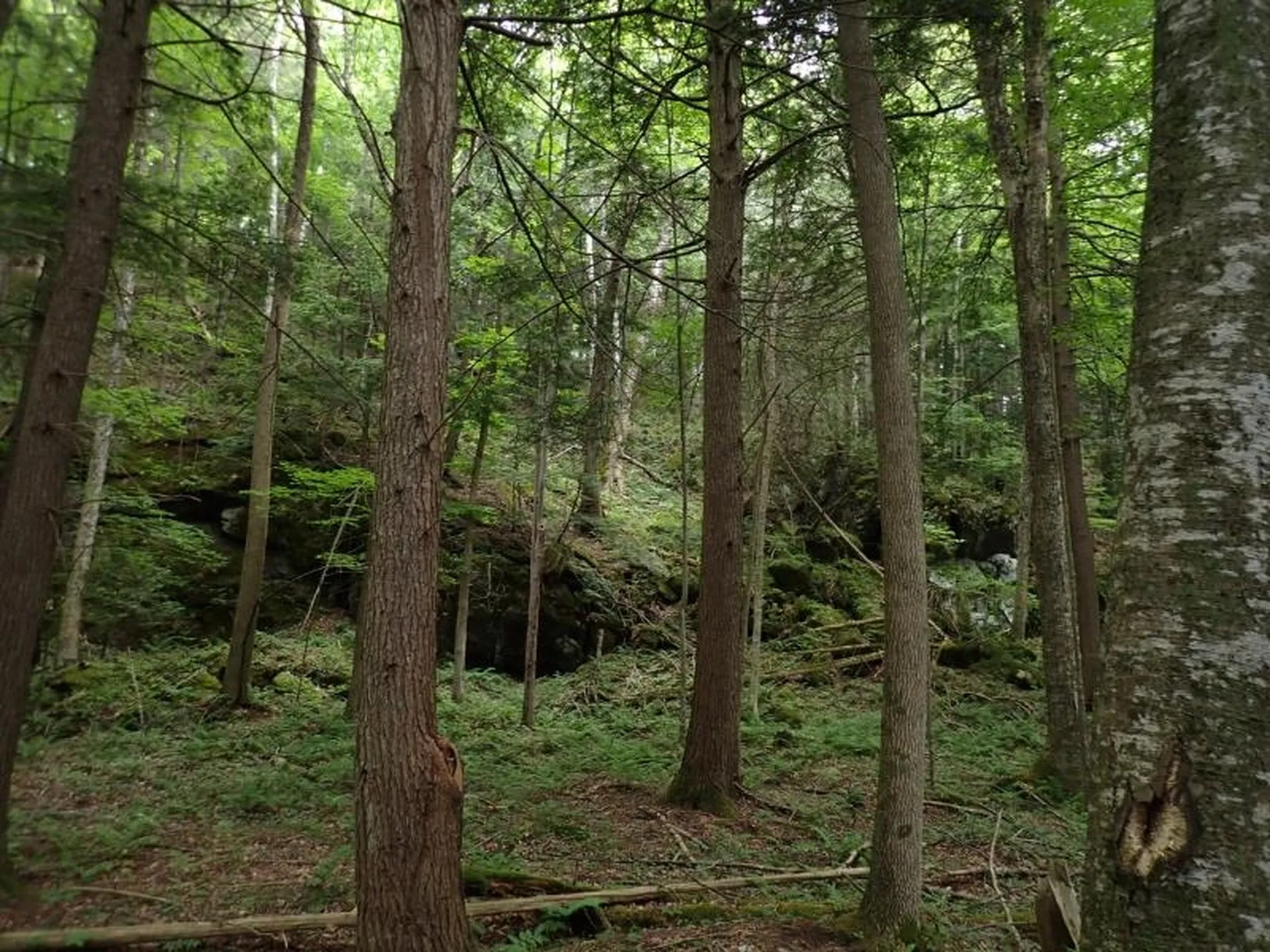 0 Marshall Phillips Road Brandon VT 05733