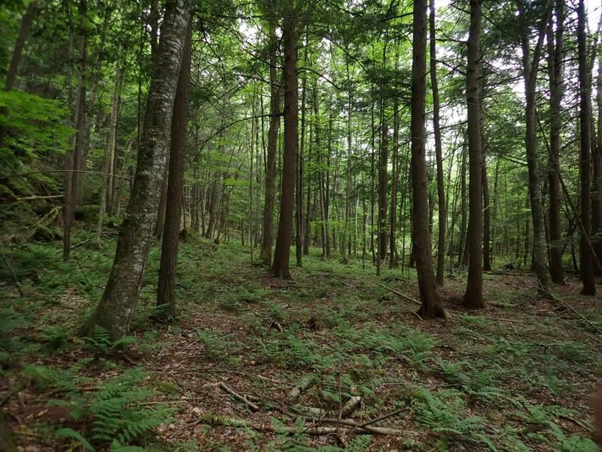 0 Marshall Phillips Road Brandon VT 05733