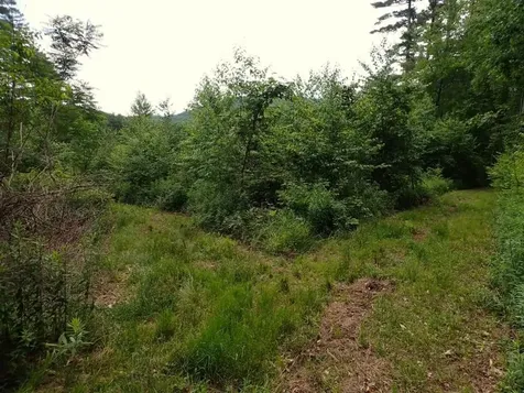 0 Marshall Phillips Road Brandon VT 05733