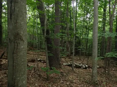 0 Marshall Phillips Road Brandon VT 05733