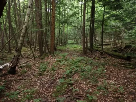 0 Marshall Phillips Road Brandon VT 05733