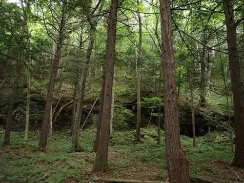 0 Marshall Phillips Road Brandon VT 05733