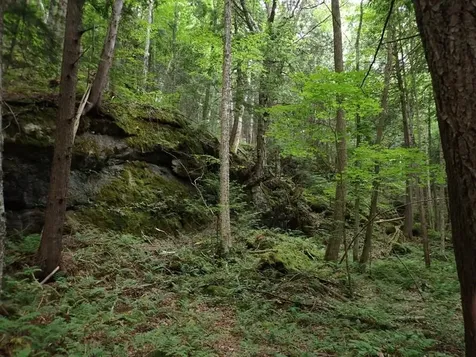 0 Marshall Phillips Road Brandon VT 05733