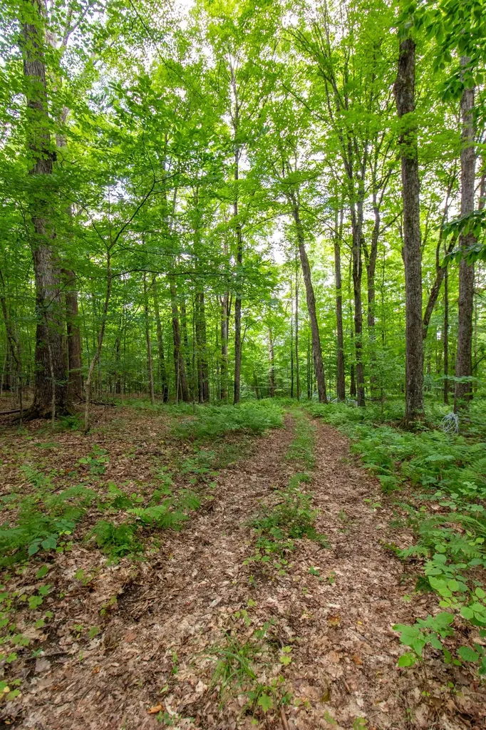 370 Bates Hill Road Derby VT 05829