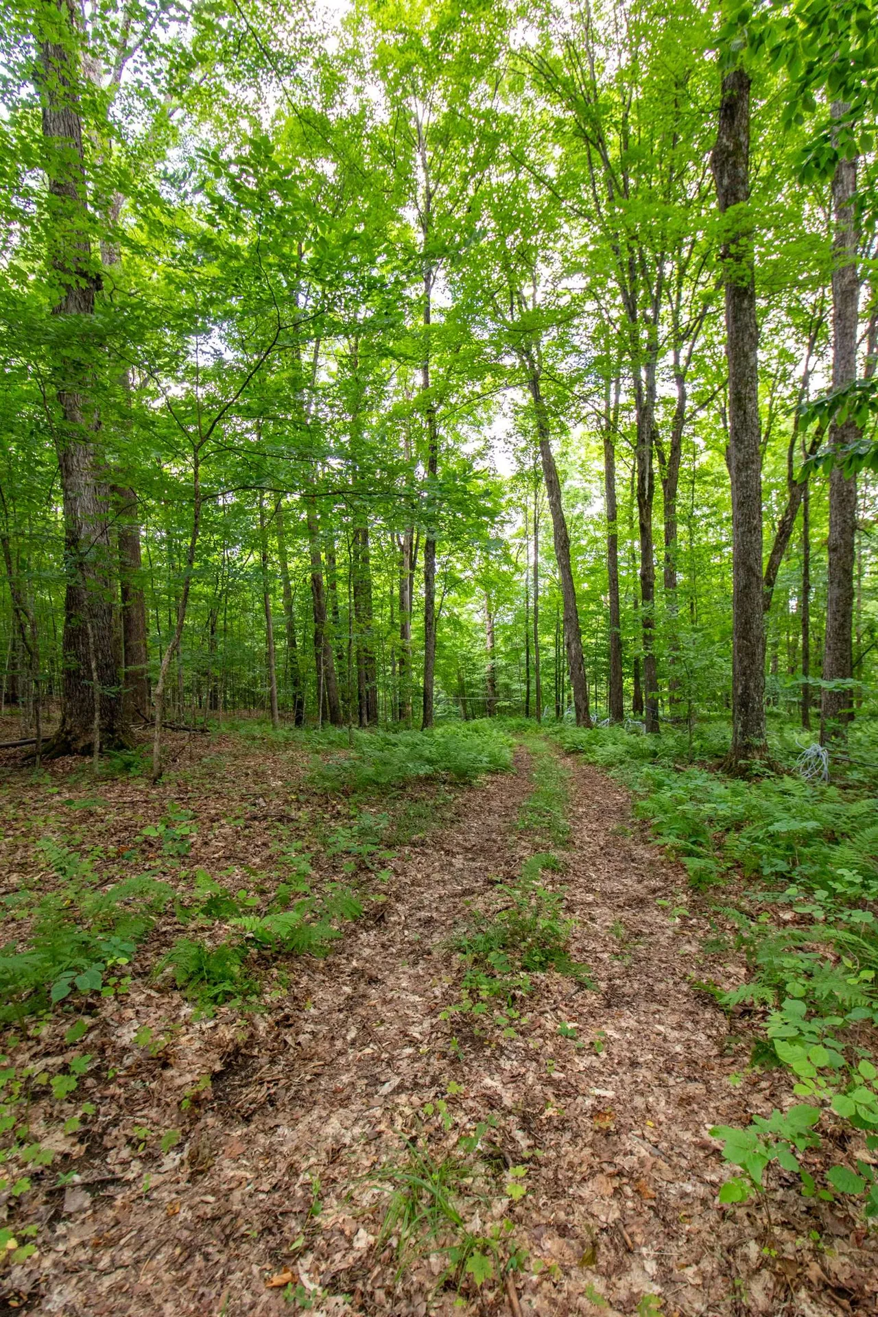 370 Bates Hill Road Derby VT 05829