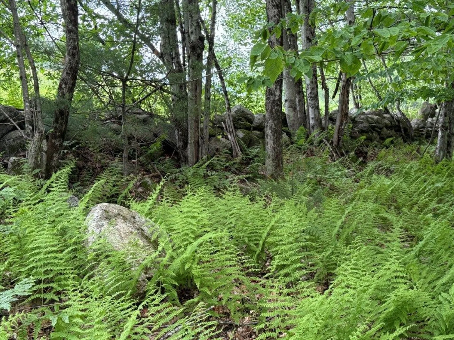 Jones Hill Road Canaan NH 03741