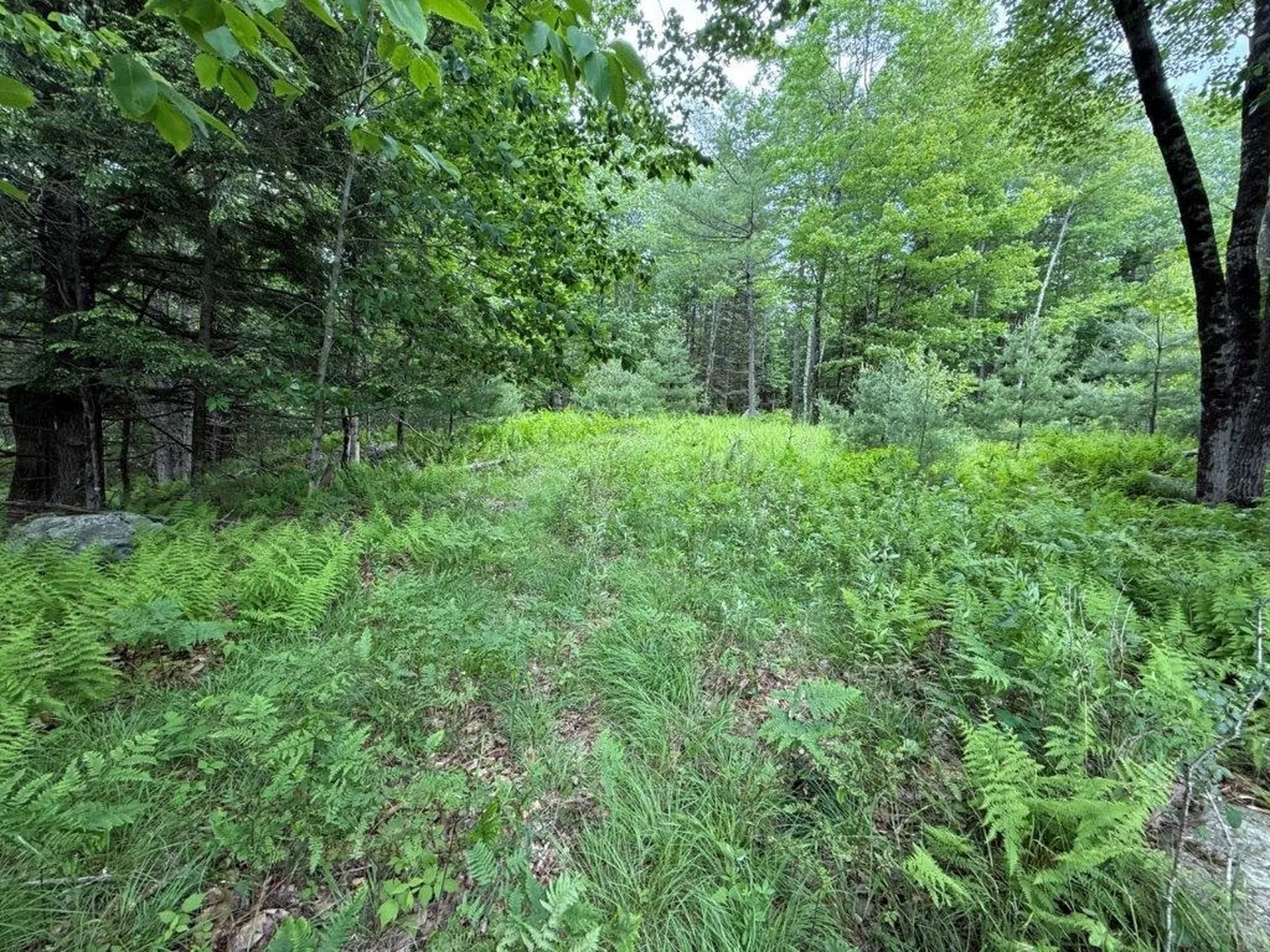 Jones Hill Road Canaan NH 03741