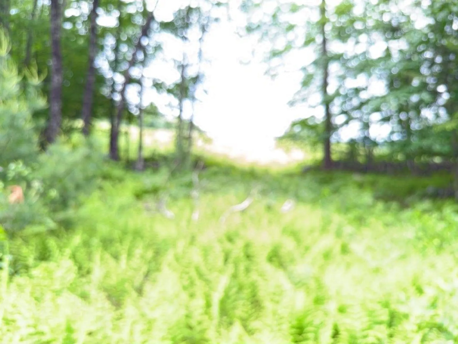 Jones Hill Road Canaan NH 03741