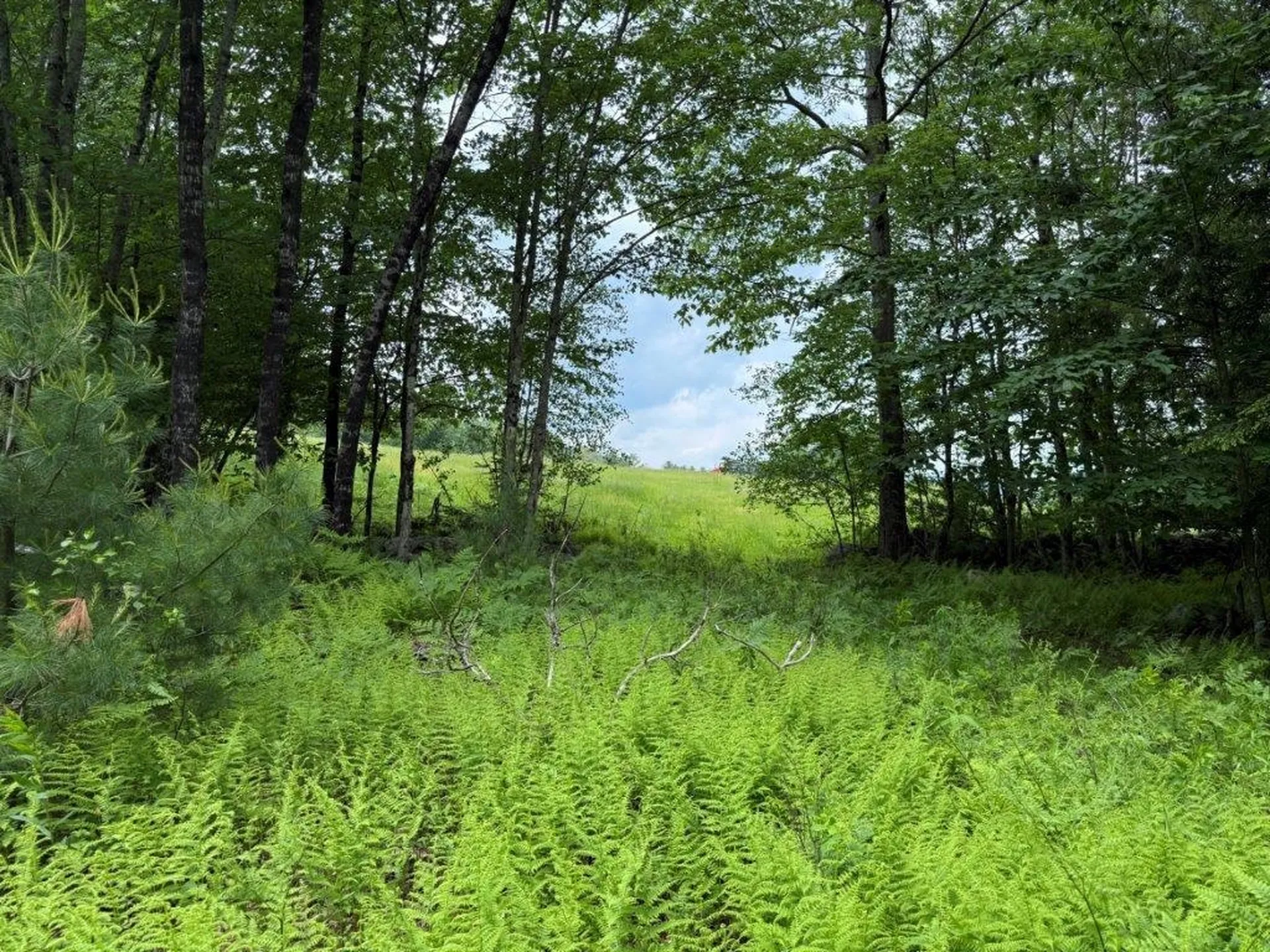 Jones Hill Road Canaan NH 03741