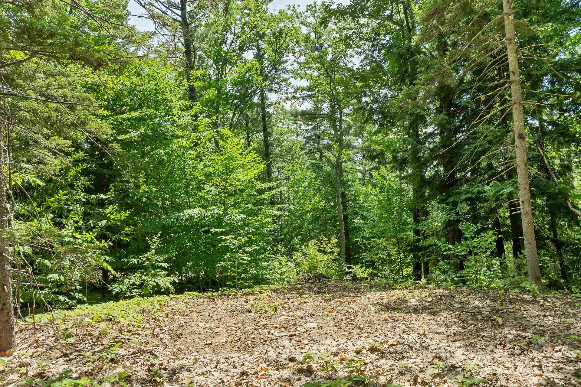 00 Trask Mountain (Lot 3) Road Wolfeboro NH 03894