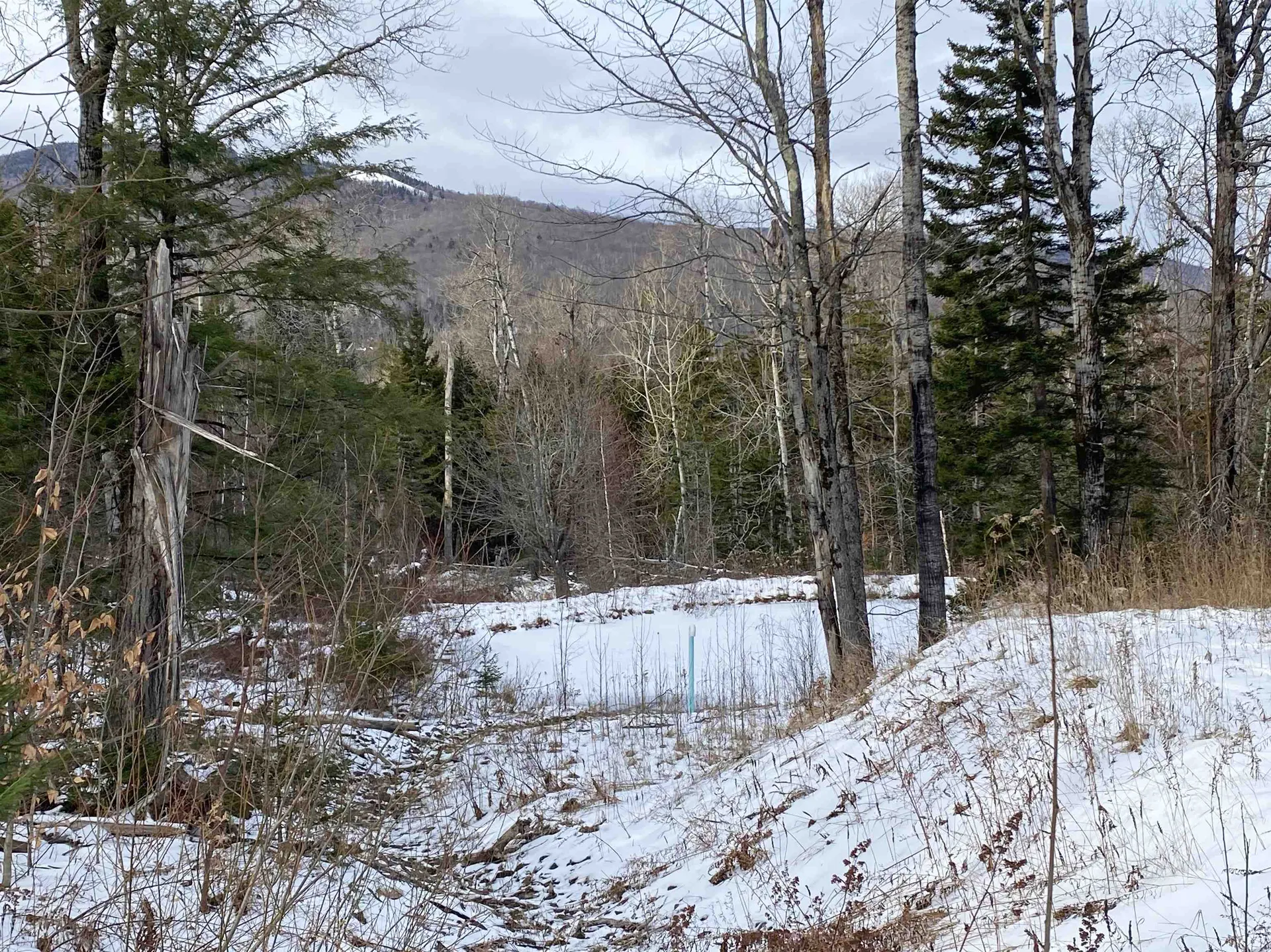 89 Caspar Drive Warren VT 05674