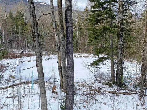 89 Caspar Drive Warren VT 05674