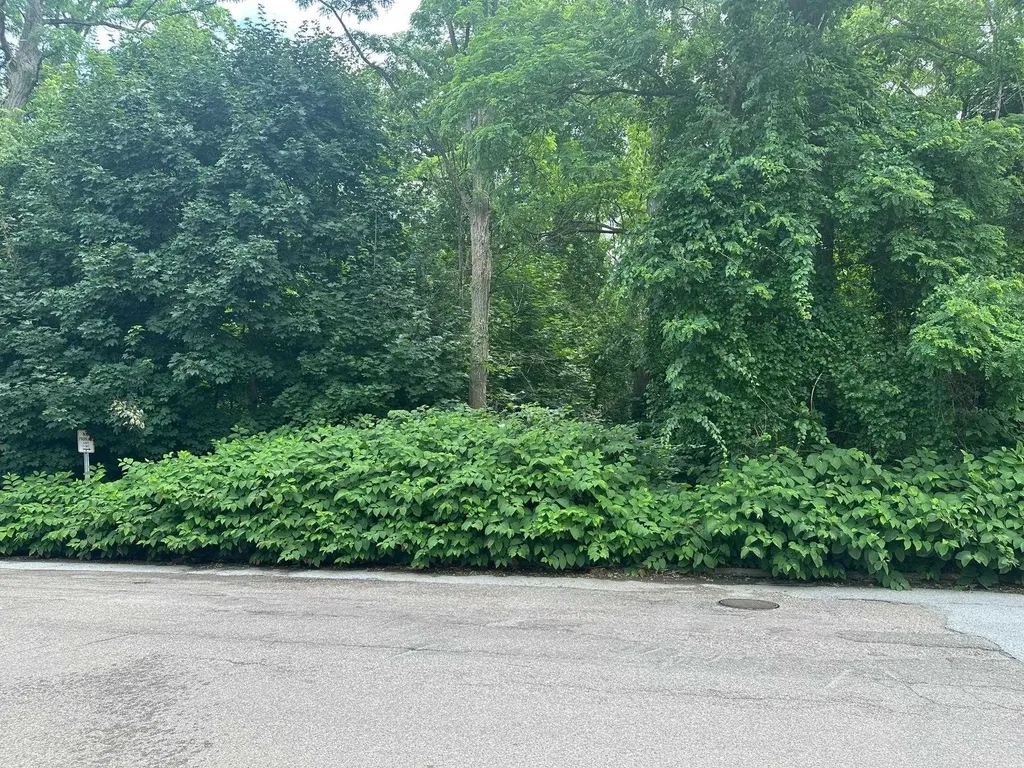 451 Ethan Allen Parkway Burlington VT 05408