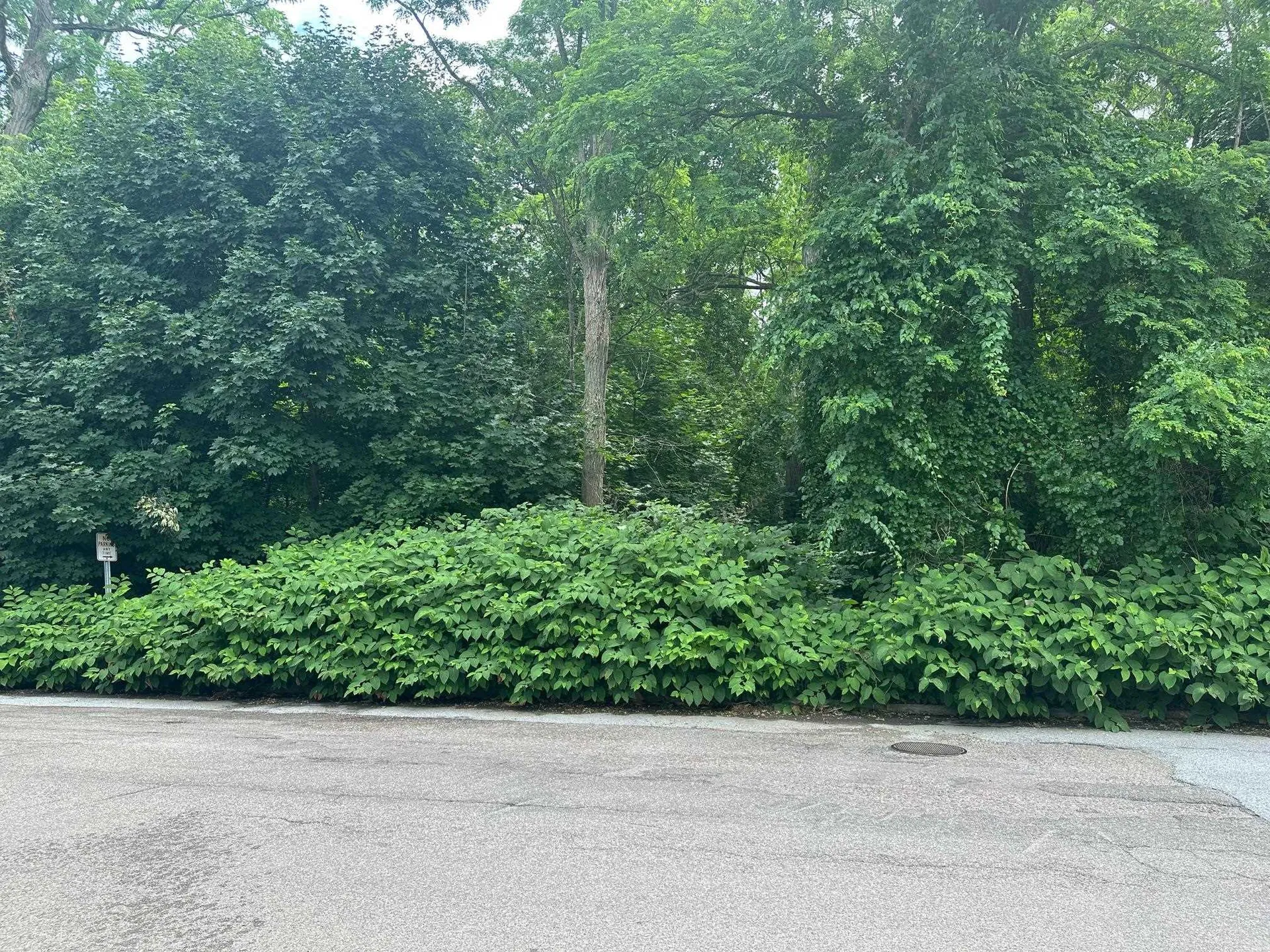 451 Ethan Allen Parkway Burlington VT 05408