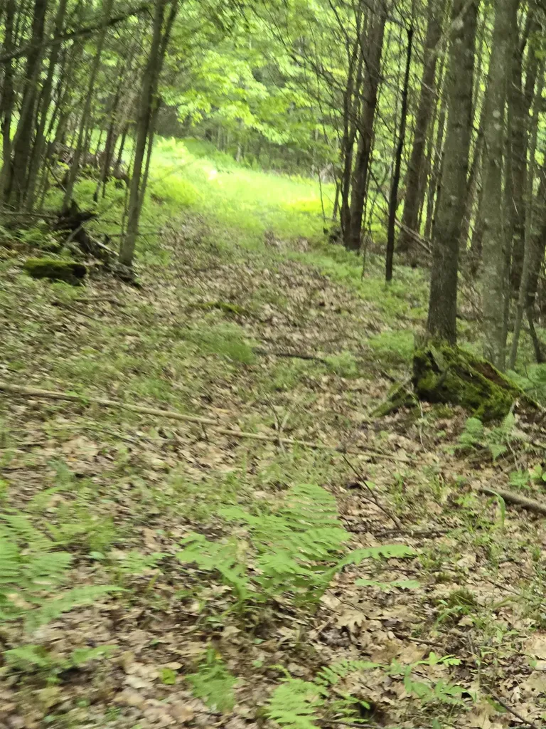 882 Morse Road Haverhill NH 03765