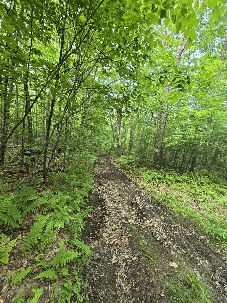 882 Morse Road Haverhill NH 03765